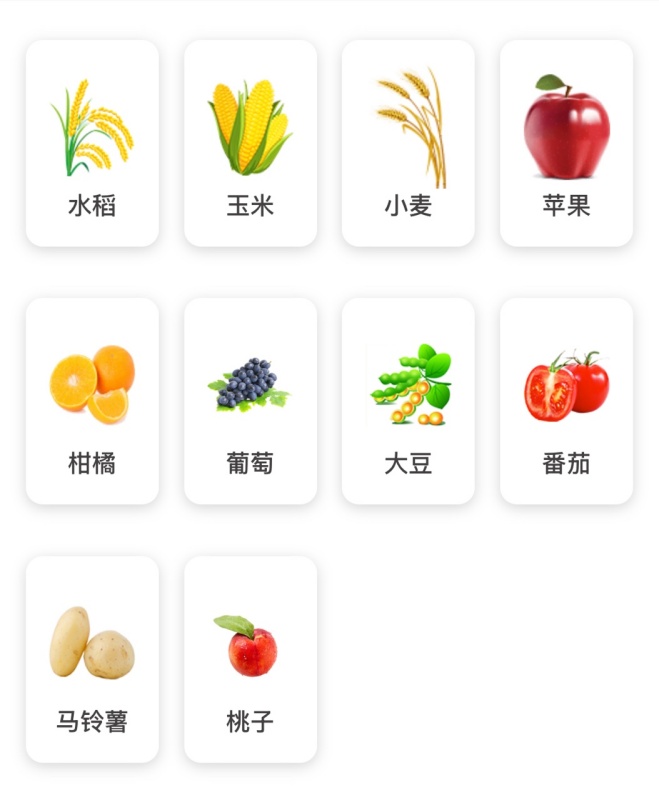 4_副本.jpg